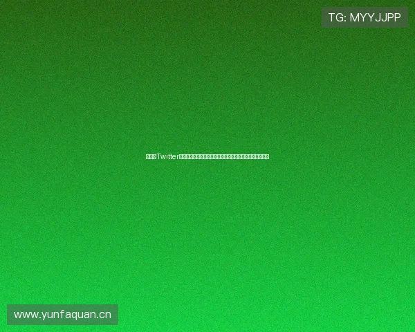 小蓝鸟Twitter在线入口：快速访问全球社交网络平台，实时获取最新动态